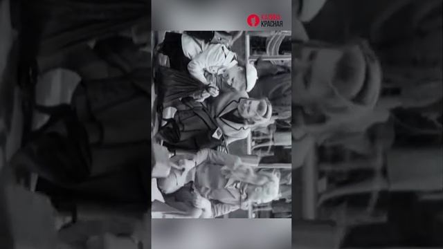 История песни «Лесной олень» из фильма «Ох уж эта Настя» 1971 года.