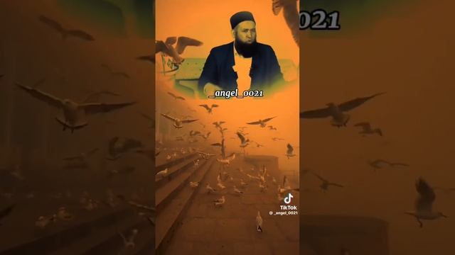 #кыргызстан #automobile #жигар #кыргыз #travel #яндекстакси #beauti смотреть онлайн