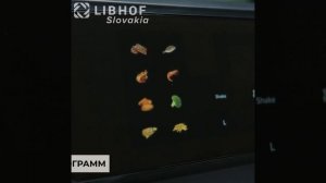 Аэрогриль Libhof AFB-11D black