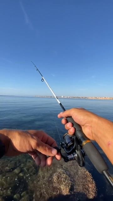 #рыбалка#спиннинг#fishing🎣￼￼￼ смотреть онлайн