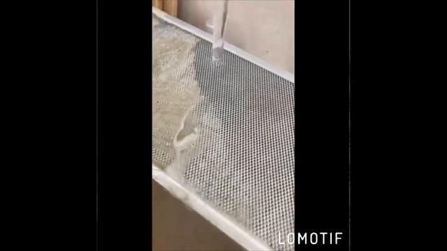 Чистим вытяжку средством для чистки духовок и плит. #893 смотреть онлайн