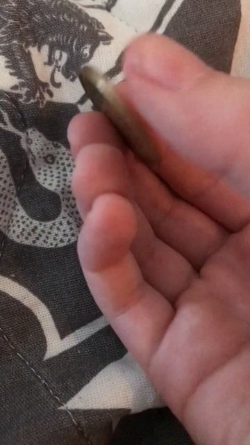 Редкая монета 50 рублей смотреть онлайн