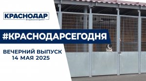 Новый приют для животных в посёлке Берёзовом, форум кубанской журналистики. Новости 14 мая.