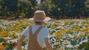 Нива | Zinouchyk Brothers | Песня на жатву