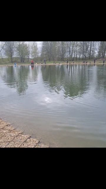 Обидный сход Форели #рыбалка #shorts #ловляфорели #fishing