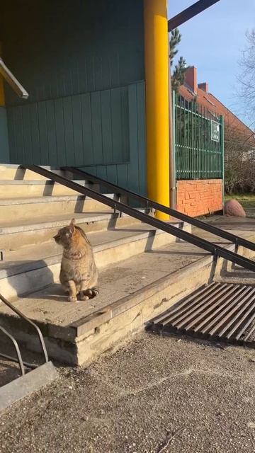 Куршская коса, Морское😻за базой отдыха Досуг, есть во смотреть онлайн