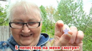 Опять поцапались...