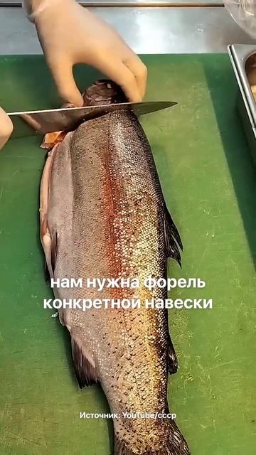 Главный совет для ВСЕХ, кто начинает разводить рыбу #узв #бизнесидеи #бизнесснуля #бизнес #мышление смотреть онлайн