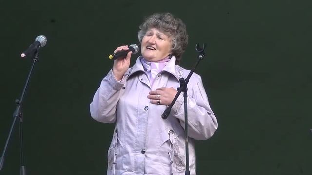 Концерт Салют победы ВА Раздолье