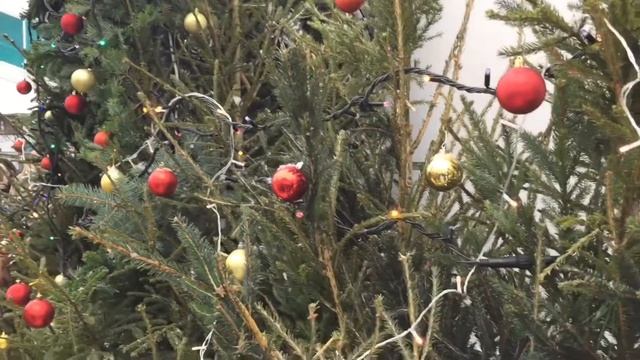 Детский крестный ход на Рождество смотреть онлайн