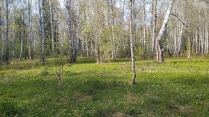 14-05-2025  Если сердце согрето вновь любовью  земною