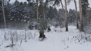 Самый снежный часовой тур на снегоходах