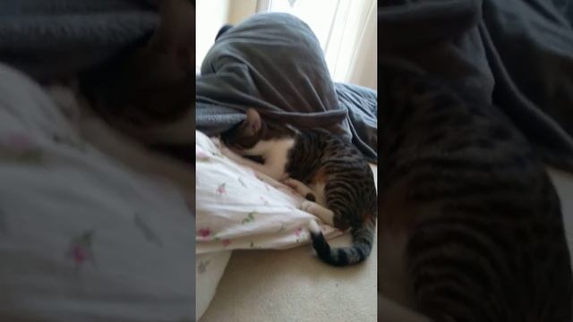 Маленький хлопчик смотреть онлайн