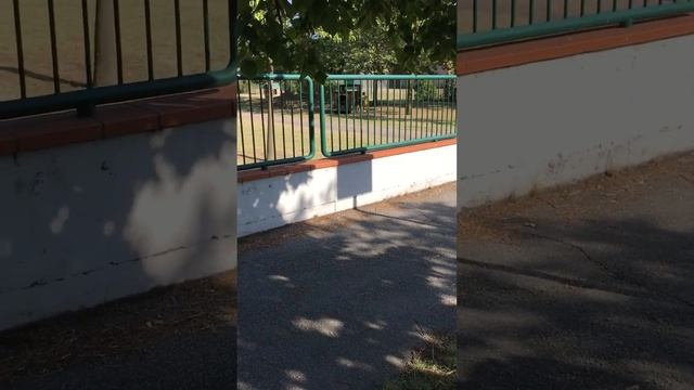 Приколы садик