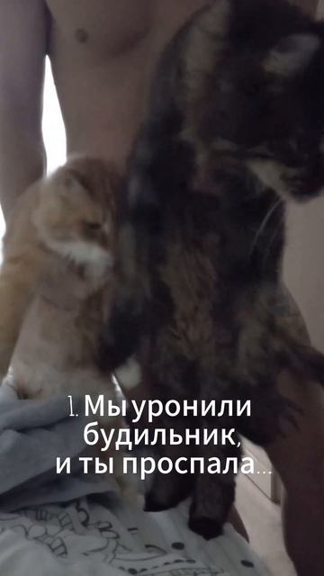 - Natasha, у нас две новости для тебя: плохая и хорошая... #shor смотреть онлайн