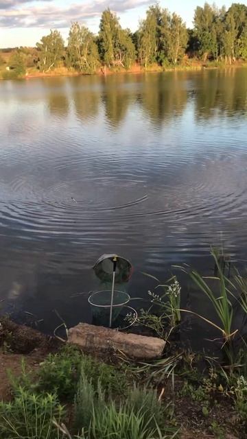 Время проведённое на рыбалке в счёт жизни не идёт ! #ры? смотреть онлайн