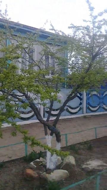 Уголок зелёной природы у дома на ул.Партизанской, Урюп смотреть онлайн