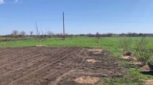 Сено из люцерны. Сколько можно заработать? Легко и выг?