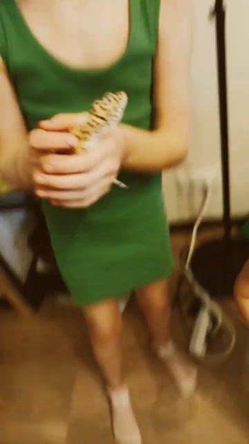 я ящерица Нолан, 😂😂😂😂 смотреть онлайн