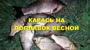 Рыбалка на КАРАСЯ  весной на ПОПЛАВОК! #карась #рыбалка #карасьнапоплавок