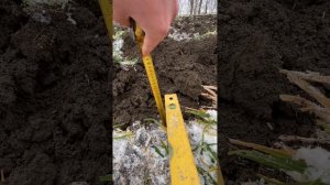 Январская морозная пахота! МТЗ 1025.2 с ПОН-3 Уманьфермма?