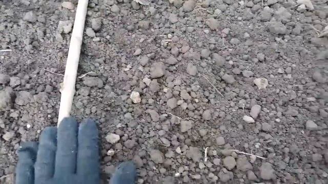 Хитрости посадки чеснока под зиму/ Супер идея для поса