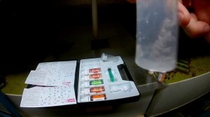 РАЗВЕДЕНИЕ АВСТРАЛИЙСКИХ РАКОВ. ОБЗОР ТЕСТОВ ДЛЯ ВОДЫ.