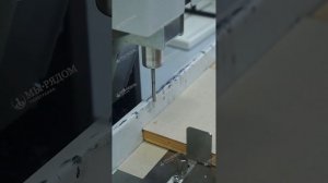 Сверление отверстий в бумаге на nagel citoborma 111