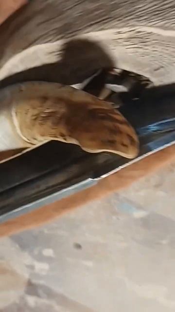 Ножи ручной работы, большой выбор под заказ,,, со всеми смотреть онлайн