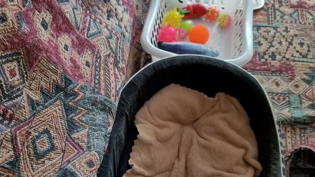 4 мая 2025 г. Наше утро ☀️ Новый день 🏠 смотреть онлайн