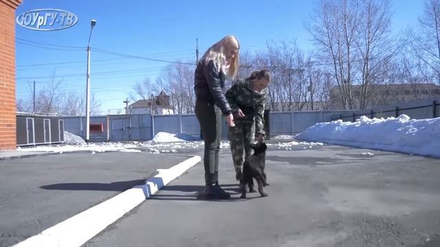 Щенячий патруль смотреть онлайн