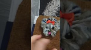 Аппликация из ниток 💥😇❤️🐶/СОБАКА ЙОРК /Видеообзор 💥/
