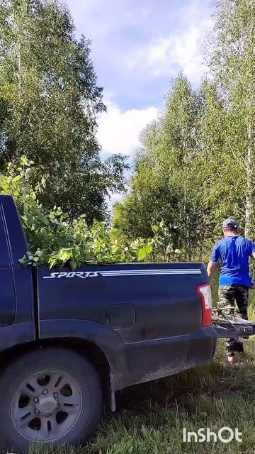 мммммм суета)))))#nature#россия#реки#shorts#банька#веники#заго