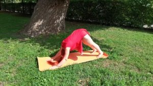 приветствие солнцу