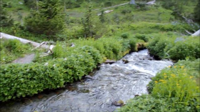 Копия видео Mowich lake loop trail смотреть онлайн