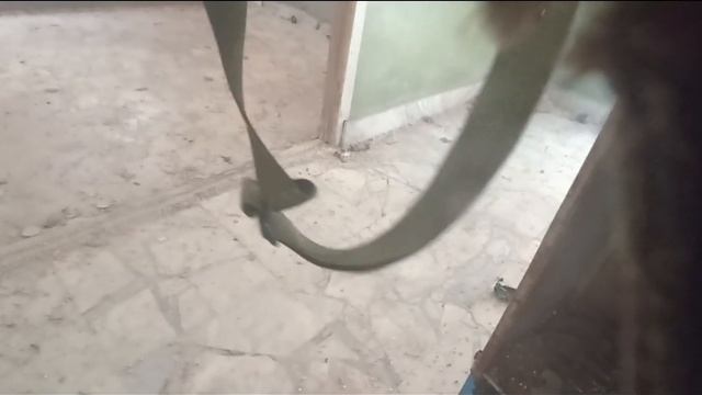 Страйкбол Балаково. Турнир смотреть онлайн