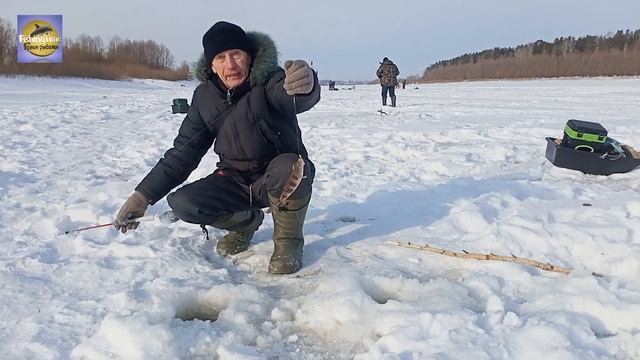 Рыбалка по льду  Ищу окуня  Март 2025 смотреть онлайн