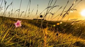 На тот большак Муз М Фрадкина, Ст Н Доризо спела Г Погорельская кавер