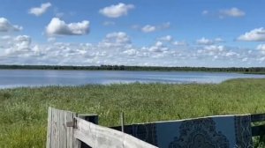 Курганская обл. с. Ожогино. Обзор села 2024 год .#travel #росс