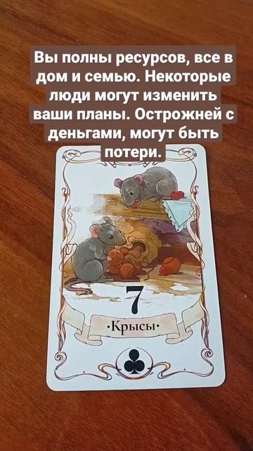 Прогноз на день!...онлайн расклад... акция по Роду, пиши.. смотреть онлайн