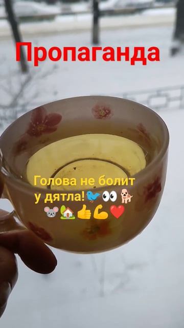 "ПРОВЕРЕНО",противопоказания- желчекаменная болезнь!? смотреть онлайн