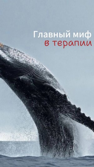 Главный миф в терапии!(PsyDoronina11) Вы хотите получить быстро! Отсюда множество марафонов-фейков