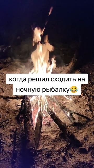 Когда решил сходить на ночную рыбалку 😂 #shorts #short смотреть онлайн