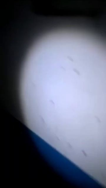 В Арсеньеве в жилой девятиэтажке взорвалась граната, ? смотреть онлайн