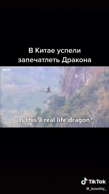 В Китае проснулся дракон /Dragon woke up in China смотреть онлайн