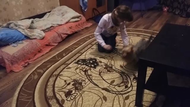 Боня бесится смотреть онлайн