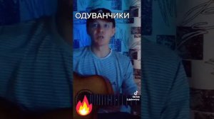 одуванчики