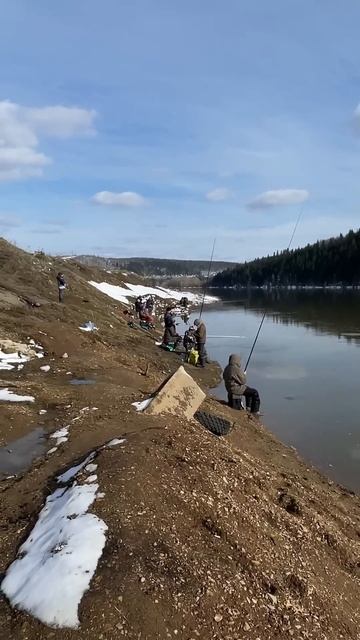Елец. Апрель. Первая рыбалка в проводку #рыбалка #рыбал смотреть онлайн