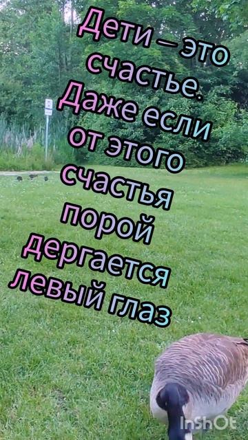 "Витамин Б2 - Баловать/Беречь" - СЕБЯ НАДО БЕРЕЧЬ, и ОБЯЗ? смотреть онлайн