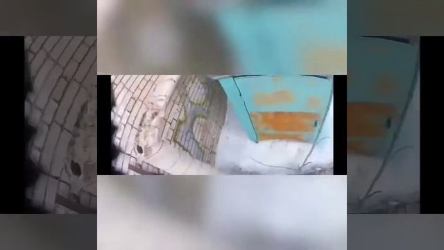 Треню Сальто/НА УЛИЦЕ/ПАРКУР ЭЛЕМЕНТЫ смотреть онлайн